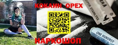 хмурый Кингисепп