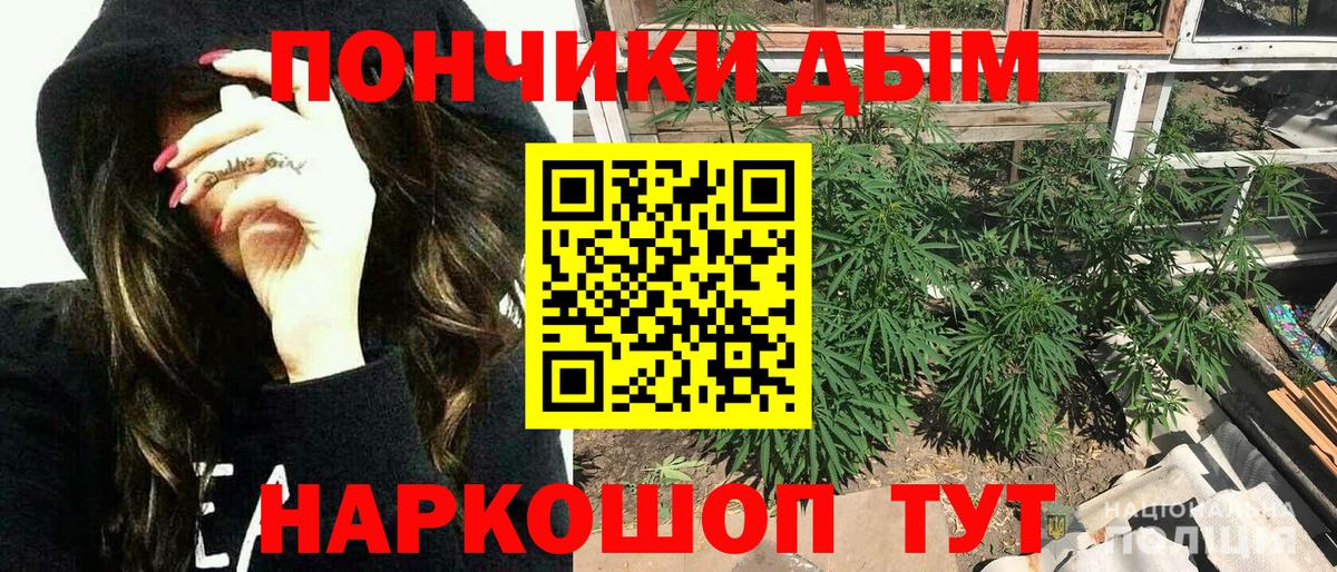 Канабис сатива  Вход с VPN  Арзамас  Бошки Шишки план 